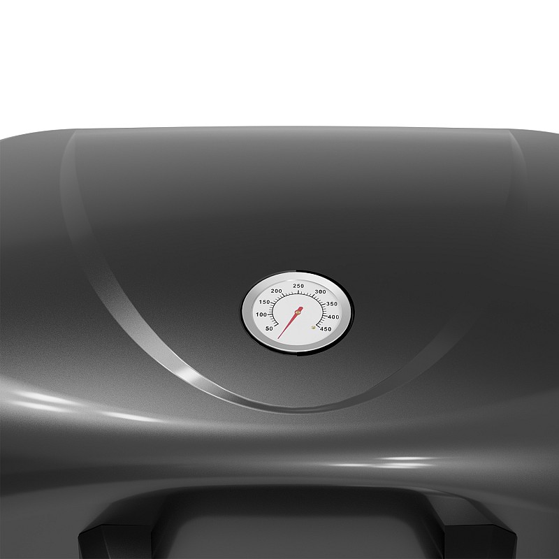 800x800x90-bbq-ygraerioy-grill-2-plancha-thermogatz-lpg-5